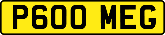 P600MEG