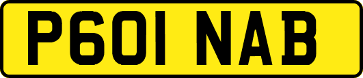 P601NAB
