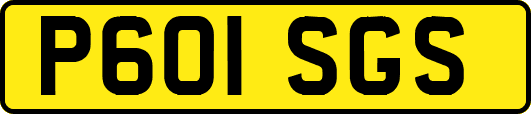 P601SGS