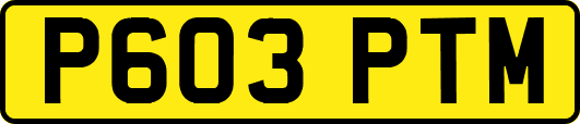 P603PTM
