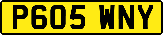 P605WNY
