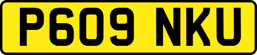 P609NKU