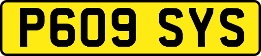 P609SYS