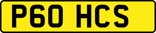 P60HCS