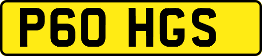 P60HGS