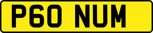 P60NUM