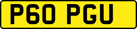 P60PGU