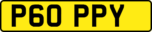 P60PPY