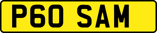 P60SAM