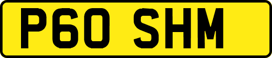 P60SHM