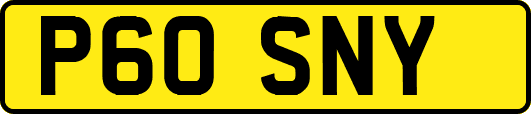 P60SNY