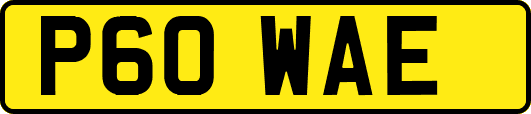 P60WAE