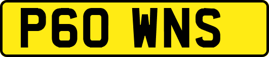 P60WNS