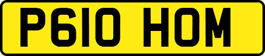 P610HOM