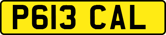 P613CAL