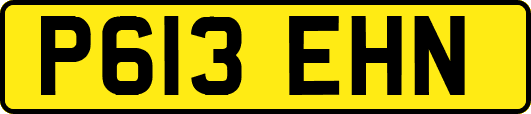 P613EHN