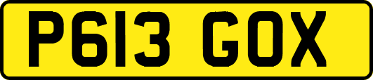 P613GOX