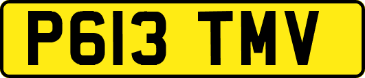P613TMV