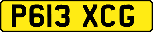 P613XCG