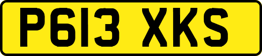 P613XKS