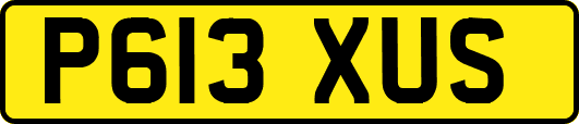 P613XUS