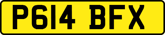 P614BFX