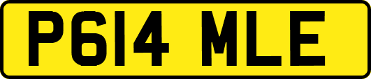 P614MLE
