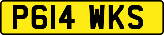 P614WKS
