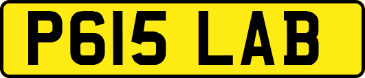 P615LAB