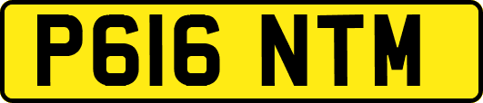 P616NTM