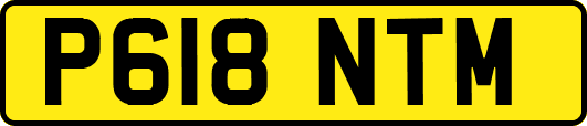 P618NTM
