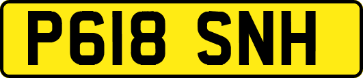 P618SNH