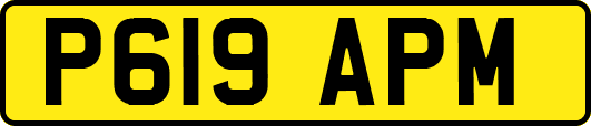 P619APM