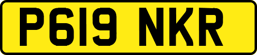 P619NKR