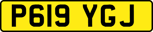 P619YGJ