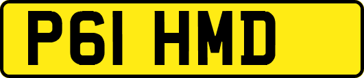 P61HMD