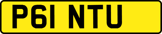 P61NTU