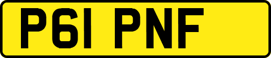 P61PNF