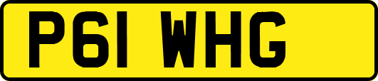 P61WHG