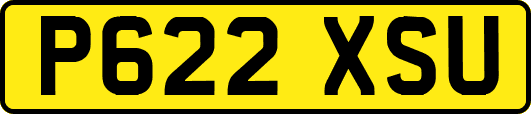 P622XSU