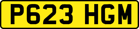 P623HGM