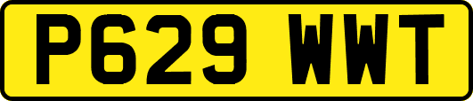 P629WWT