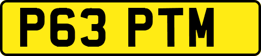 P63PTM