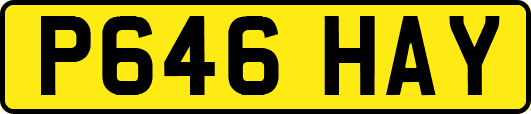 P646HAY