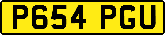 P654PGU