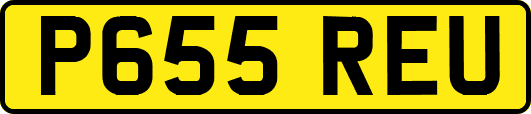 P655REU