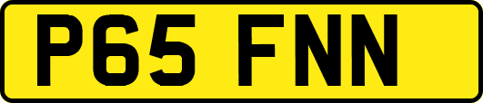 P65FNN