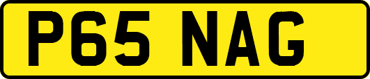 P65NAG