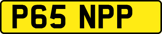 P65NPP