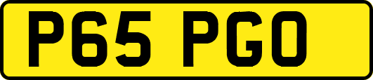 P65PGO